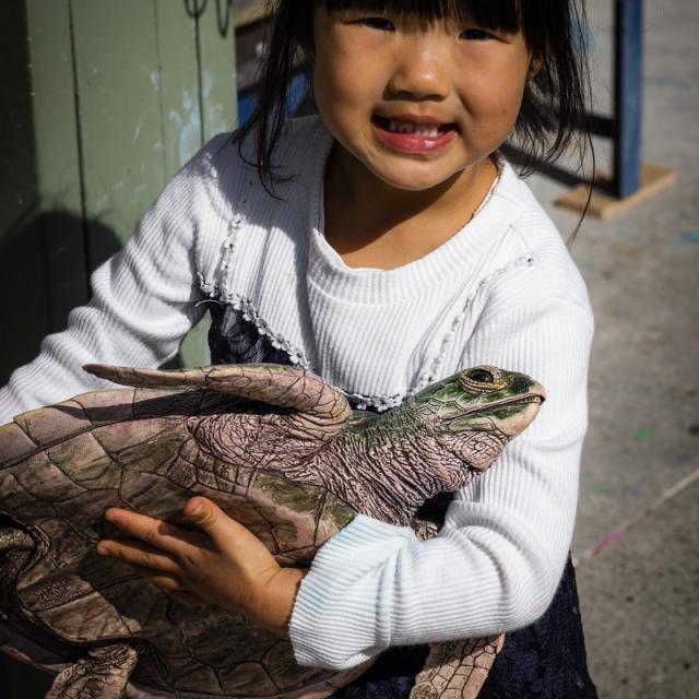 Albany Community Preschool