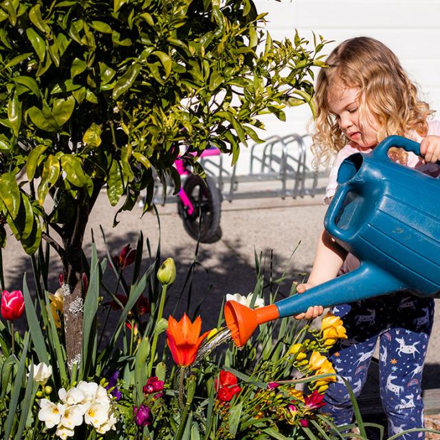 Albany Community Preschool