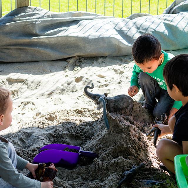 Albany Community Preschool